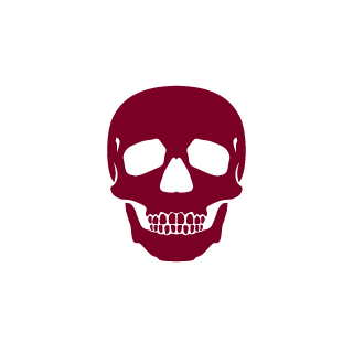 AJlekc161's emblem