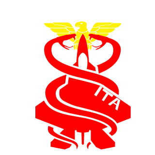 VoltaicSky's emblem