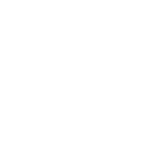 IronNevaLies's emblem