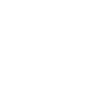 4niki9's emblem