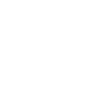 Baolu91's emblem