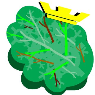 theSYCcarter's emblem