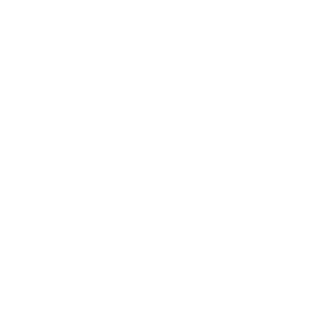 Col_Scherer's emblem