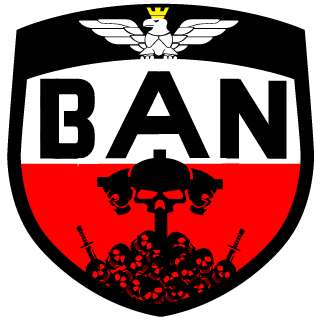 BANICI's emblem