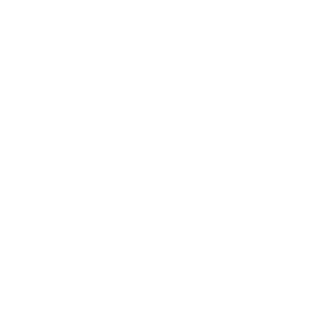 steve_sam99's emblem