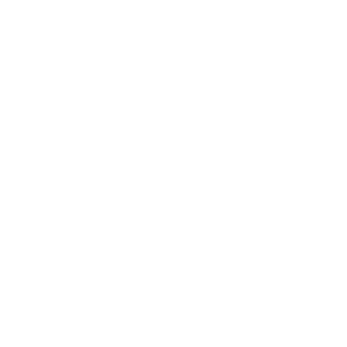 Goof0Meister's emblem