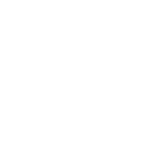 jfizz28's emblem