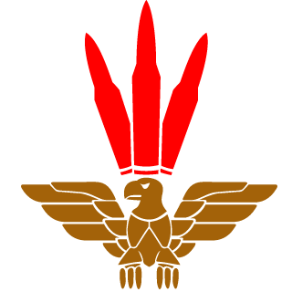bodmer96's emblem