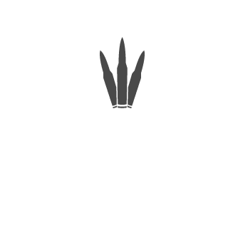 patty87's emblem