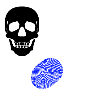 4-Ever-N2's emblem