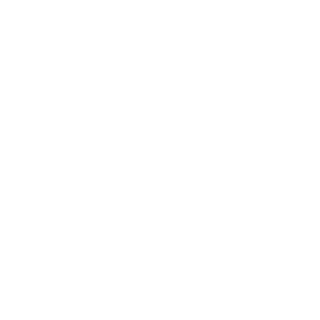SOF2TAPS's emblem