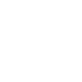 leftwingNEWGAME's emblem