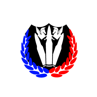 MackTavish-141's emblem
