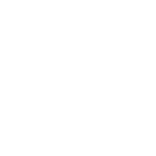 dragonite54301's emblem