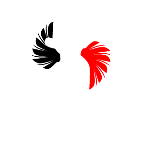 20Aminers18's emblem