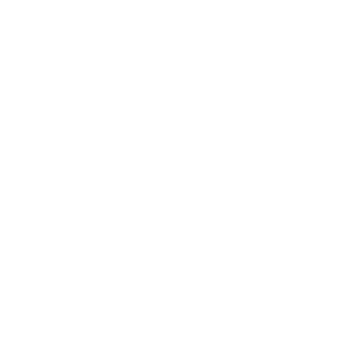 CyberSword1's emblem