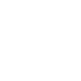 Wizard2033's emblem