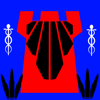 thesoccerguy488's emblem