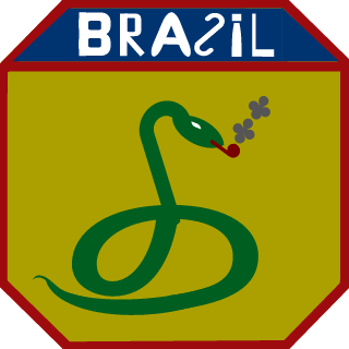 ZeMoita_BR's emblem
