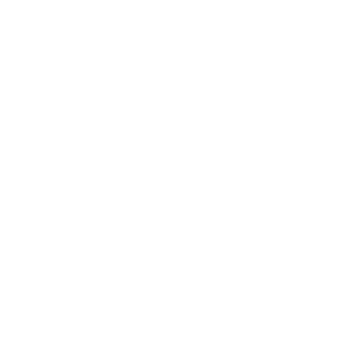 Zestein's emblem