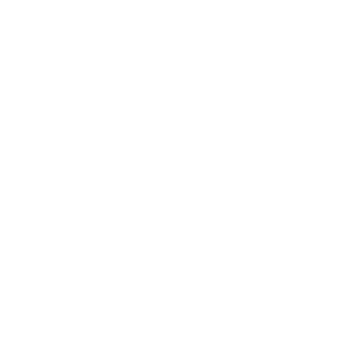 SUCCort's emblem