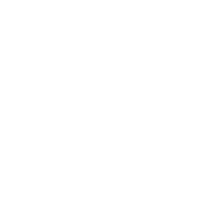 Damore1's emblem