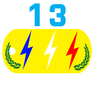 Tintinleviking13's emblem
