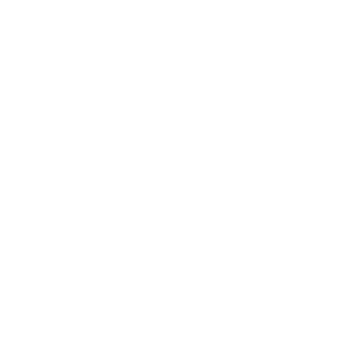 Twichinov's emblem
