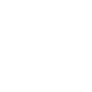 Protox1017's emblem