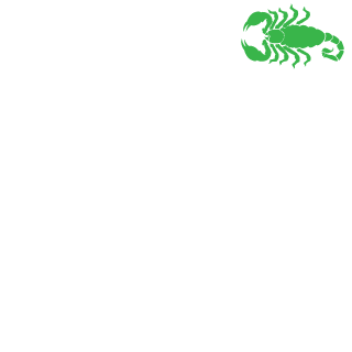 BeeInvisible's emblem