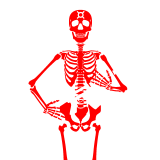 Shiibrix's emblem