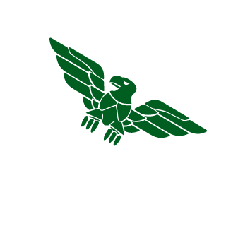 BarcaBoy996's emblem