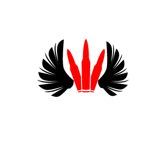 ec616bugga964's emblem