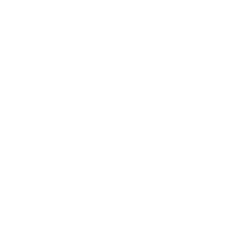 DG1001's emblem