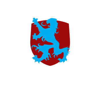 _MiN1DRAG0N_'s emblem