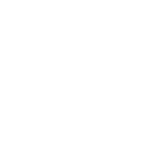 SAILSENSER's emblem