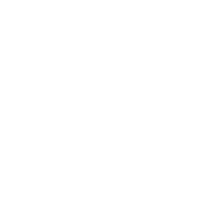 blueskyblueboy's emblem