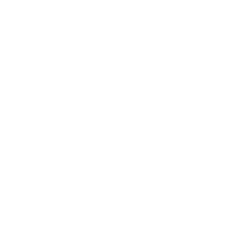 NTojeir0's emblem