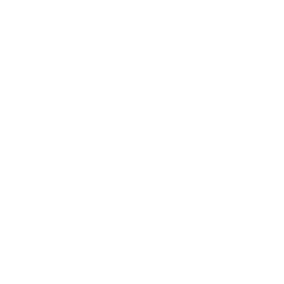 Shinra_Fr's emblem