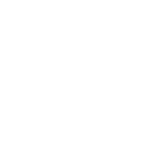 HMVCT's emblem