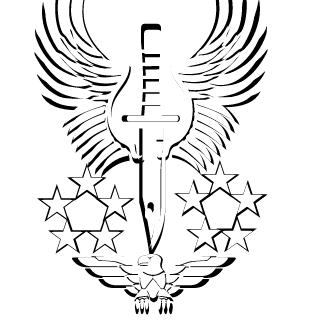 DannyBoy_Tv's emblem