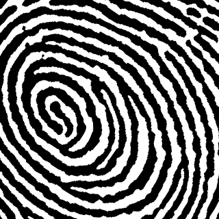 P4b13t3's emblem