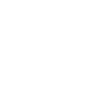 Nolle127's emblem