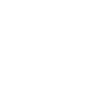 Diigmaa's emblem
