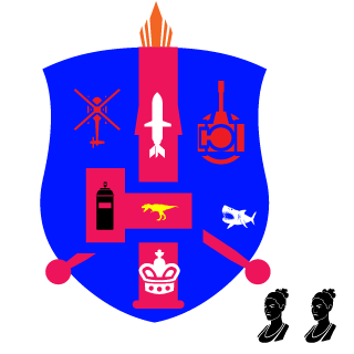 6ff08e57b856bb45's emblem