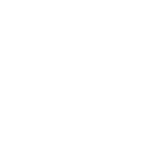 Havran_V's emblem