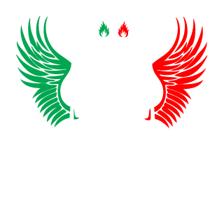 death from above's emblem