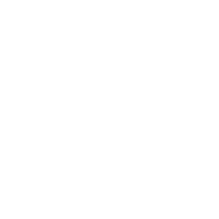 RaptorDE's emblem