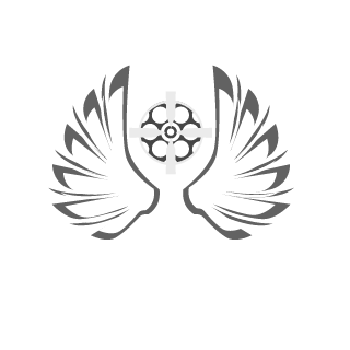 SomeNoodles's emblem