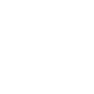 Al1904's emblem